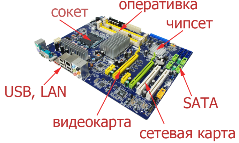 Где находится материнская плата айфон 6с