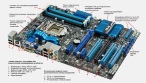 Какие видеовыходы бывают на материнской плате